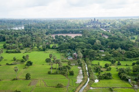 View from balloon, Angkor Wat