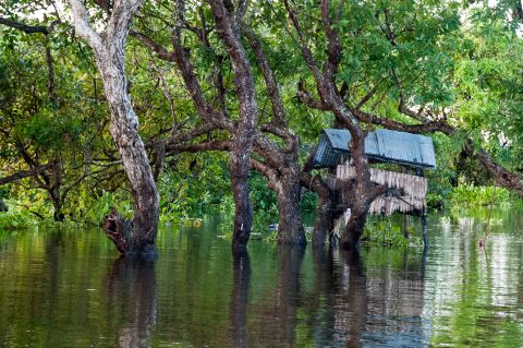 Floating village, Tonle Sap Lake, near Siem Reap