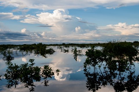On Tonle Sap Lake, near Siem Reap