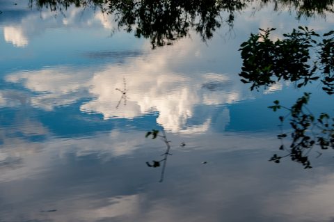 On Tonle Sap Lake, near Siem Reap