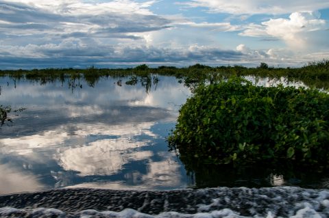 On Tonle Sap Lake, near Siem Reap