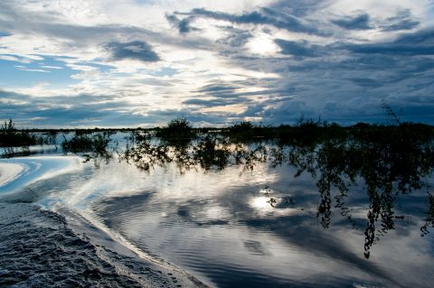 On Tonle Sap Lake, near Siem Reap