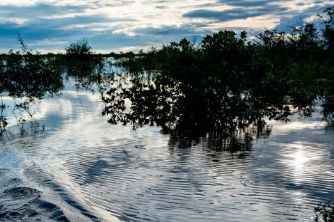 On Tonle Sap Lake, near Siem Reap