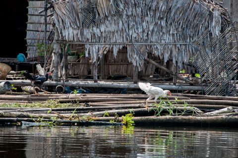 Floating village, Tonle Sap Lake, near Siem Reap