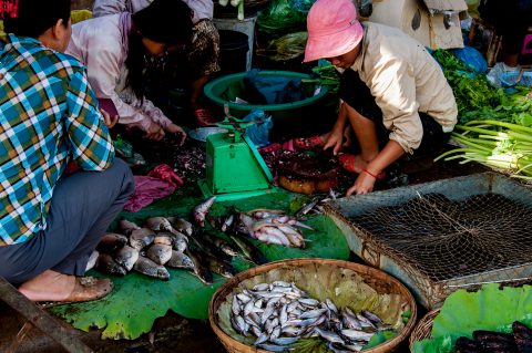 Market, Battambang