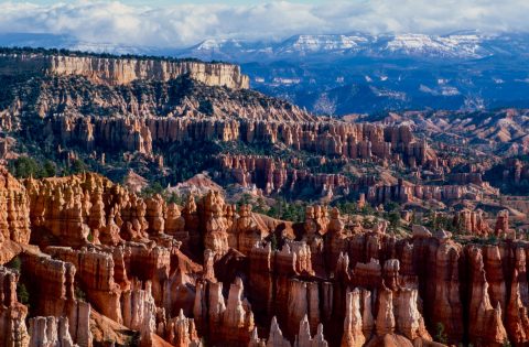 Bryce Canyon amphitheatre, Utah (2004)