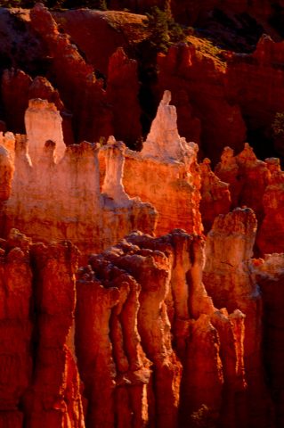 Victoria Hoodoo at sunrise, Bryce Canyon Utah (2004)