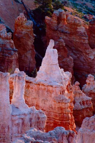 Victoria Hoodoo at sunrise, Bryce Canyon Utah (2004)
