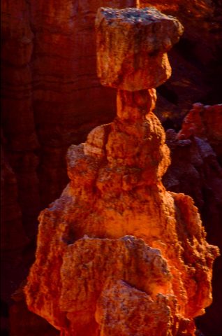 Thor's Hammer Hoodoo at sunrise, Bryce Canyon Utah (2004)