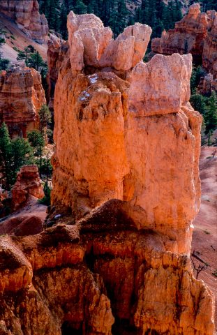 Hoodoos, Bryce Canyon, Utah (2004)