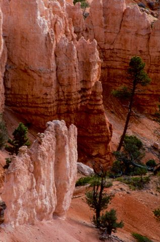 Hoodoos, Bryce Canyon, Utah (2004)