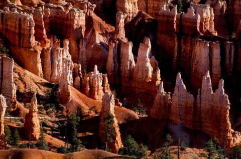 Hoodoos, Bryce Canyon, Utah (2004)