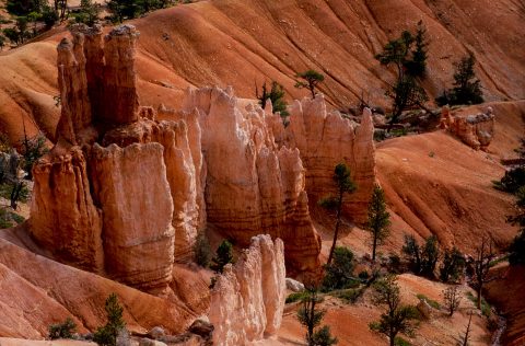 Hoodoos, Bryce Canyon, Utah (2004)