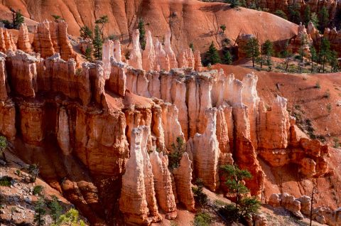 Hoodoos, Bryce Canyon, Utah (2004)