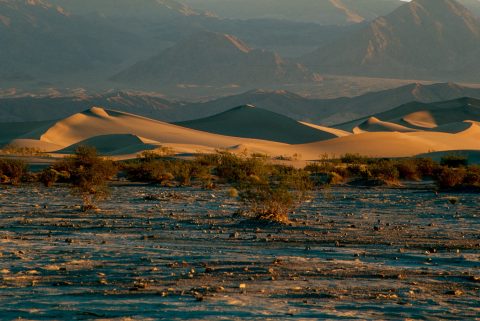 Mesquite Dunes, Death Valley CA (1999)