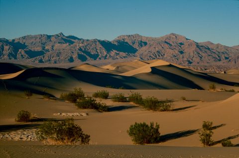 Mesquite Dunes, Death Valley CA (1999)
