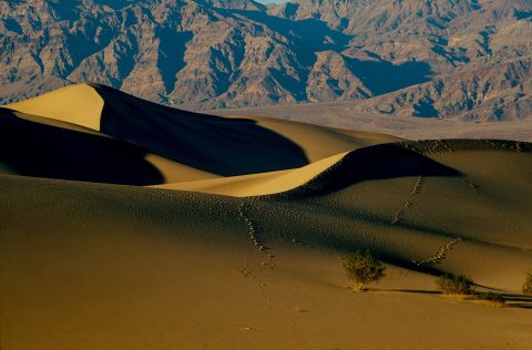 Mesquite Dunes, Death Valley CA (1999)