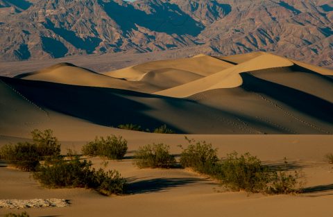 Mesquite Dunes, Death Valley CA (1999)