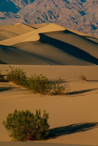 Mesquite Dunes, Death Valley CA (1999)