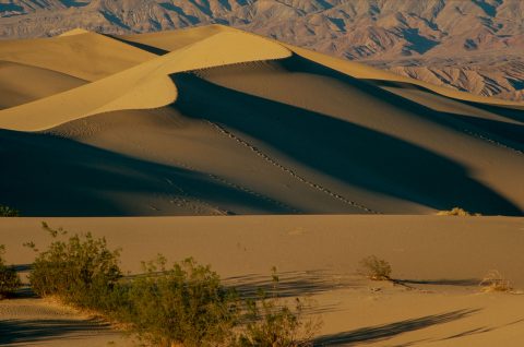 Mesquite Dunes, Death Valley CA (1999)