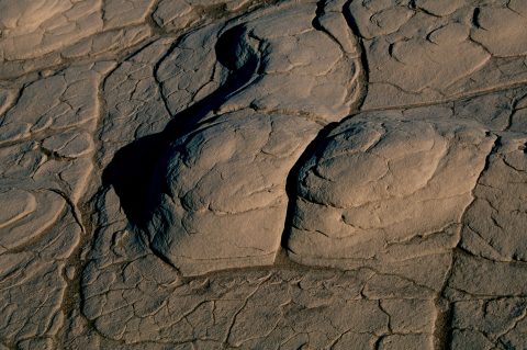 Dried sand, Mesquite Dunes, Death Valley CA (1999)