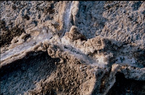 Salt Flats, Death Valley, CA (1999)