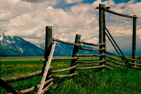 Antelope Flats, Grand Tetons, Wyoming (2000)