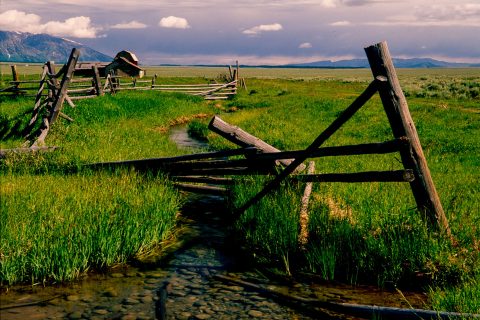 Antelope Flats, Grand Tetons, Wyoming (2000)
