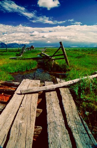 Antelope Flats, Grand Tetons, Wyoming (2000)