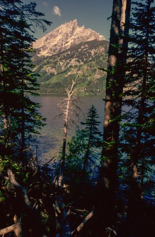 Mount Moran & Jenny Lake, Grand Tetons, Wyoming (2000)