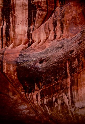 Side canyon, Lake Powell, Utah (1996)
