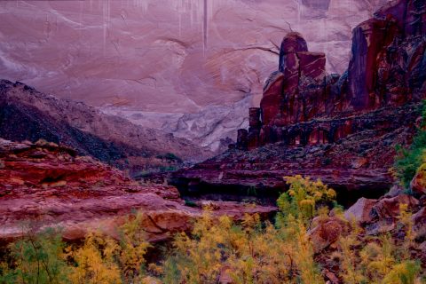 Cow Canyon, Lake Powell, Utah (1996)