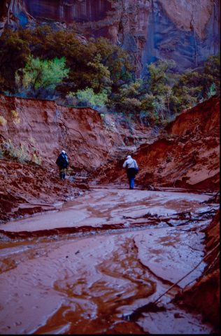 Exploring side canyon, Lake Powell, Utah (1996)