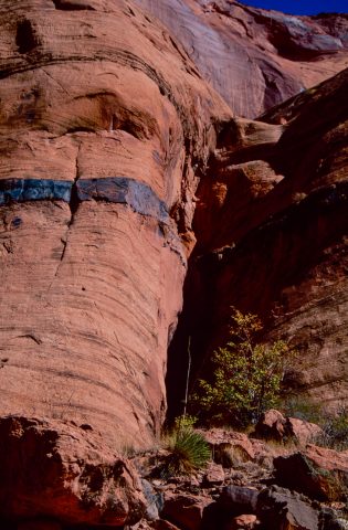 Willow Gulch, Glen Canyon, Utah (1996)
