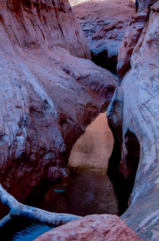 Willow Gulch, Glen Canyon, Utah (1996)
