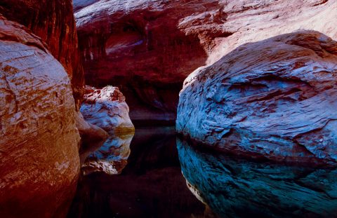 Willow Gulch, Glen Canyon, Utah (1996)