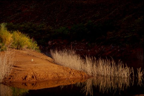 Cow Canyon, Escalante River, Lake Powell, Utah (1996)