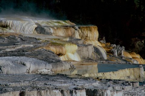 Minerva Terrace, Mammoth Lower Terrace, Yellowstone, WY (2000)