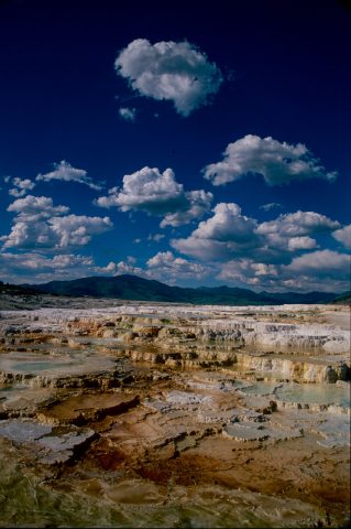 Canary Spring, Mammoth Upper Terrace, Yellowstone WY (2000)