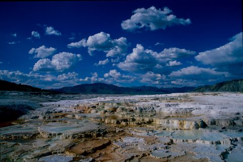 Canary Spring, Mammoth Upper Terrace, Yellowstone WY (2000)