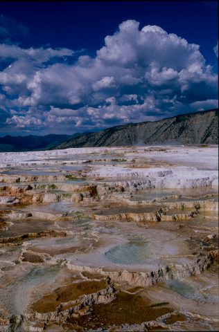 Canary Spring, Mammoth Upper Terrace, Yellowstone WY (2000)