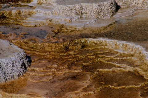 Canary Spring, Mammoth Upper Terrace, Yellowstone WY (2000)