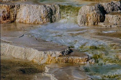 Canary Spring, Mammoth Upper Terrace, Yellowstone WY (2000)
