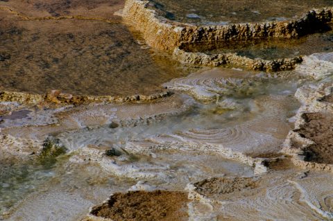 Canary Spring, Mammoth Upper Terrace, Yellowstone WY (2000)
