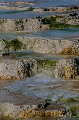 Canary Spring, Mammoth Upper Terrace, Yellowstone WY (2000)