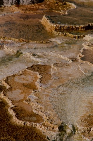 Canary Spring, Mammoth Upper Terrace, Yellowstone WY (2000)