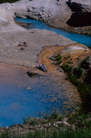 Ledge Geyser, Norris Geyser Basin, Yellowstone WY (2000)