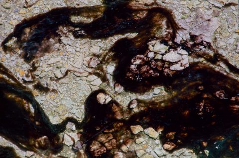 Bacteria Mat, Norris Geyser Basin, Yellowstone WY (2000)