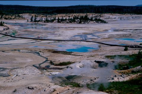 Porcelain Basin, Norris Geyser Basin, Yellowstone WY (2000)