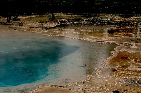 Silex Spring, Lower Geyser Basin, Yellowstone WY (2000)